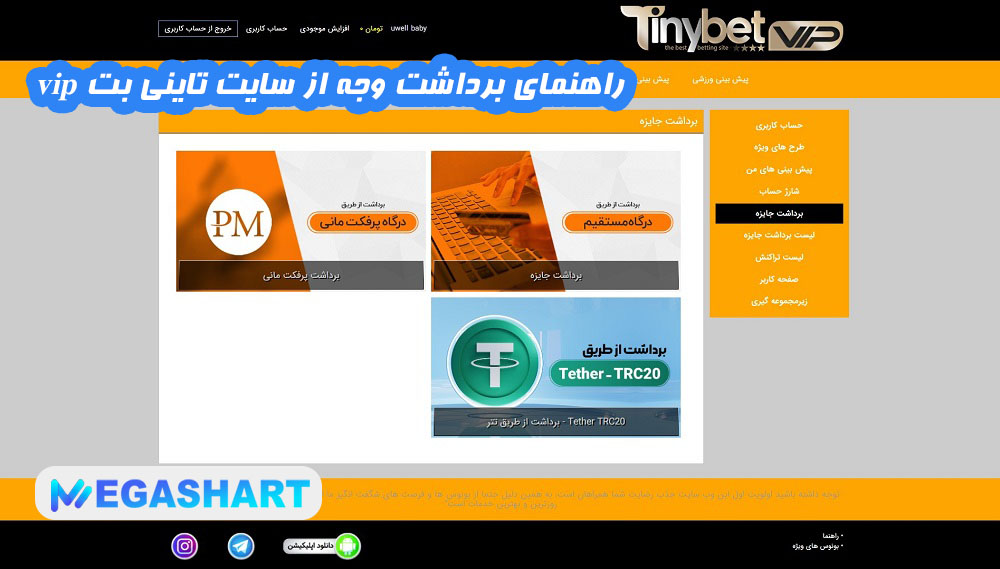 راهنمای برداشت وجه از سایت تاینی بت vip