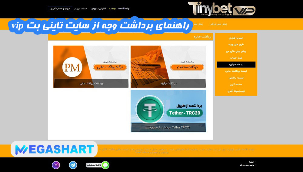 راهنمای برداشت وجه از سایت تاینی بت vip - مگاشرط راهنمای برداشت وجه از سایت تاینی بت vip