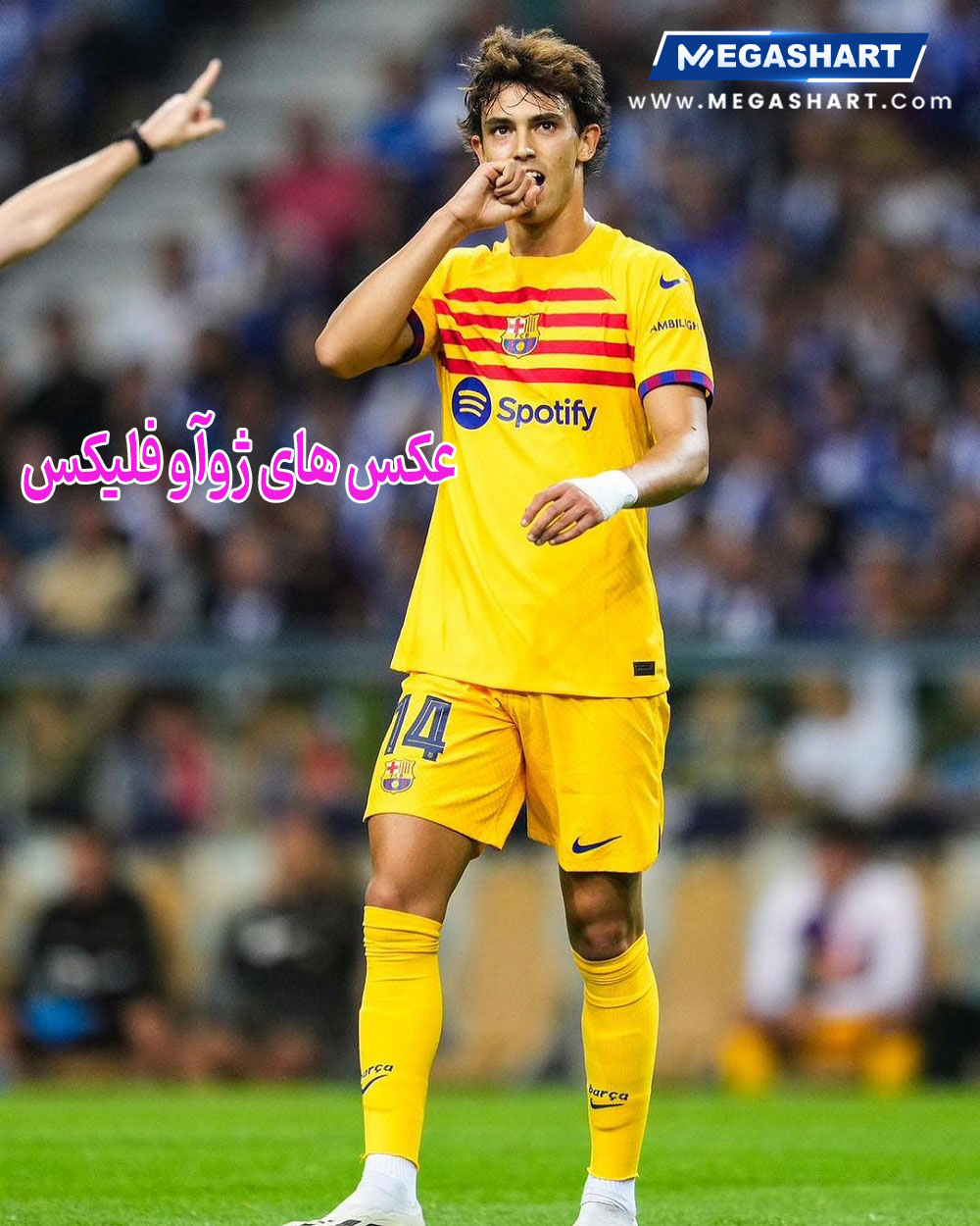 عکس های ژوآو فلیکس