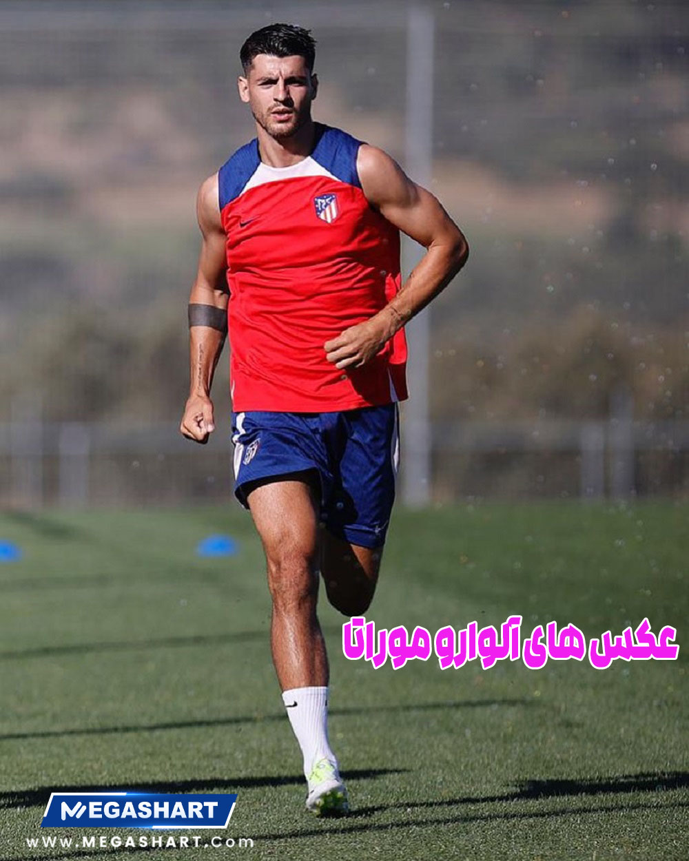 عکس های آلوارو موراتا 