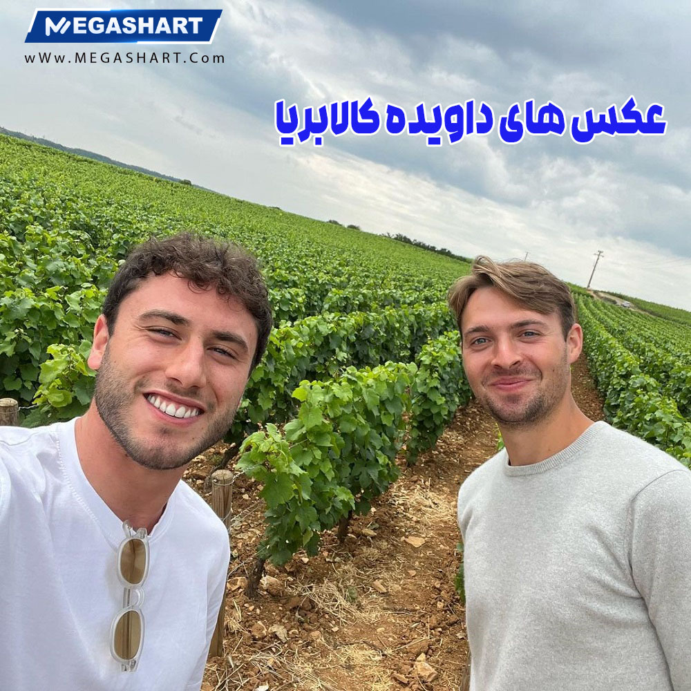 عکس های داویده کالابریا 