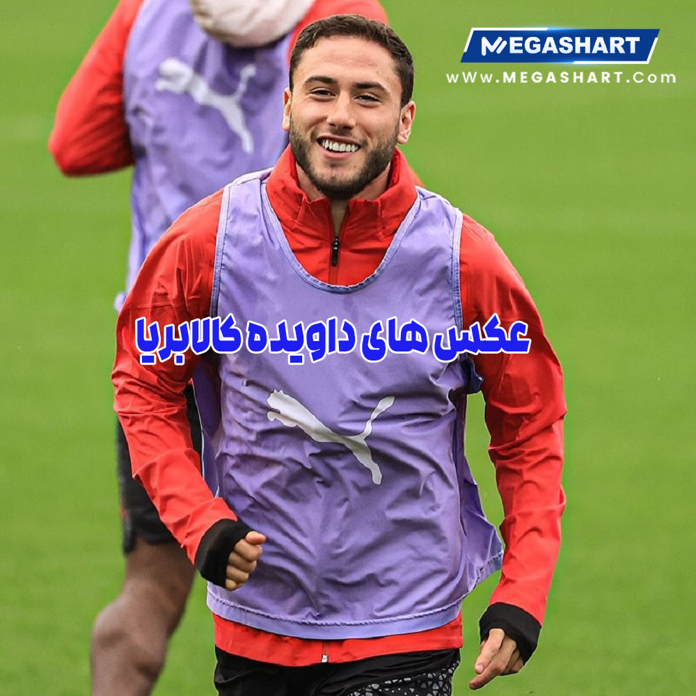 عکس های داویده کالابریا 