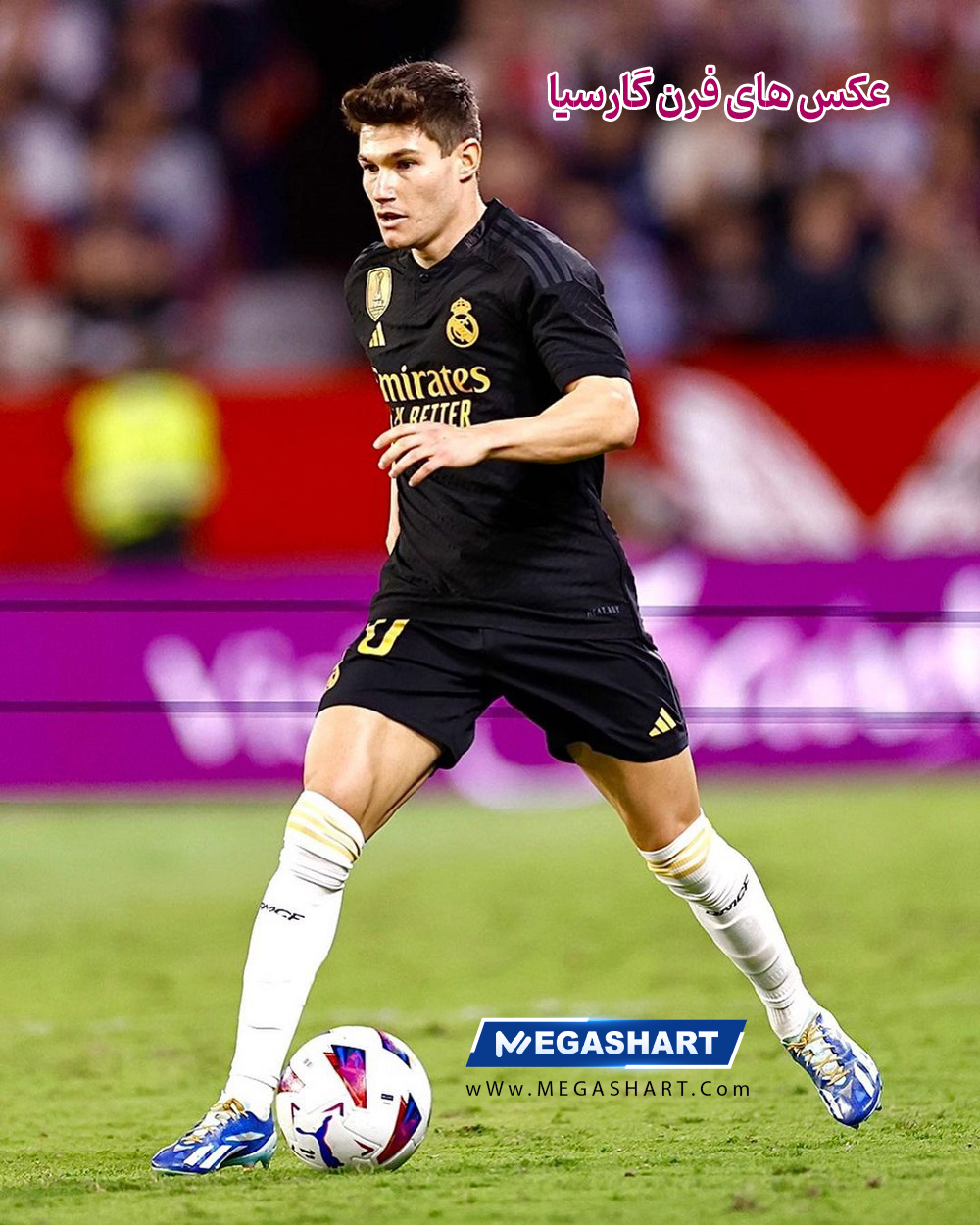 عکس های فرن گارسیا - مگاشرط عکس های فرن گارسیا