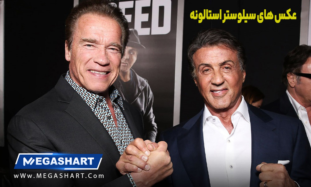 عکس های سیلوستر استالونه - مگاشرط عکس های سیلوستر استالونه