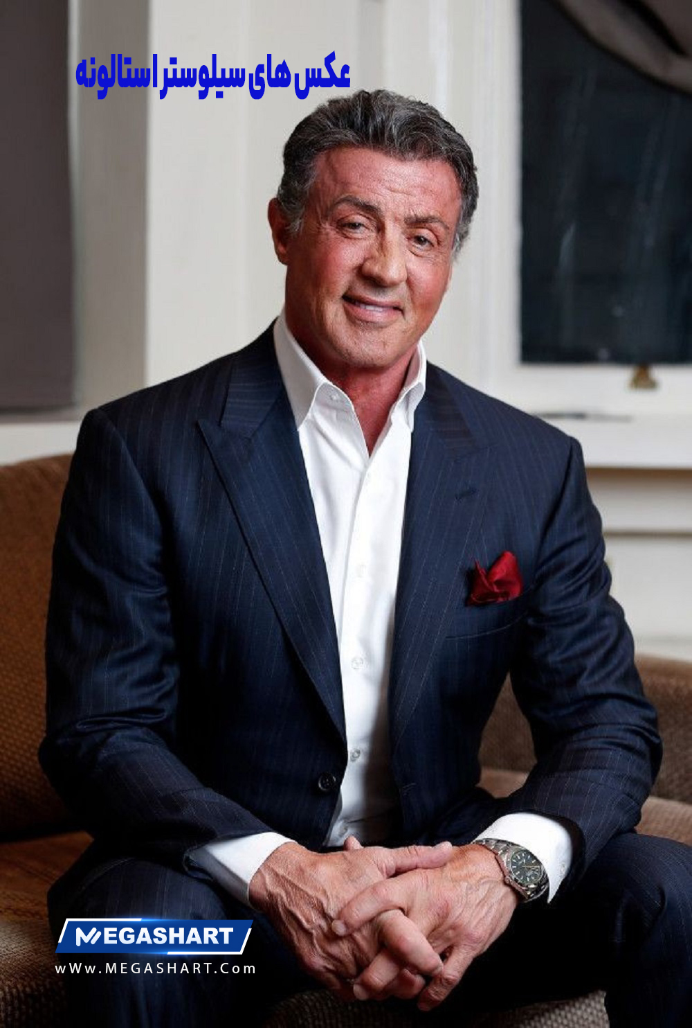 عکس های سیلوستر استالونه - مگاشرط عکس های سیلوستر استالونه