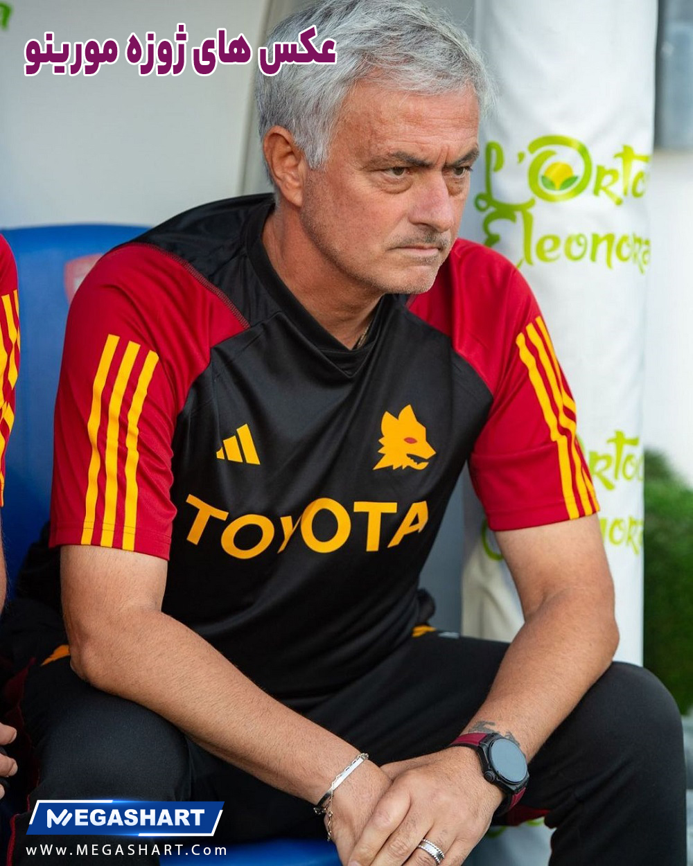 عکس های ژوزه مورینو - مگاشرط عکس های ژوزه مورینو