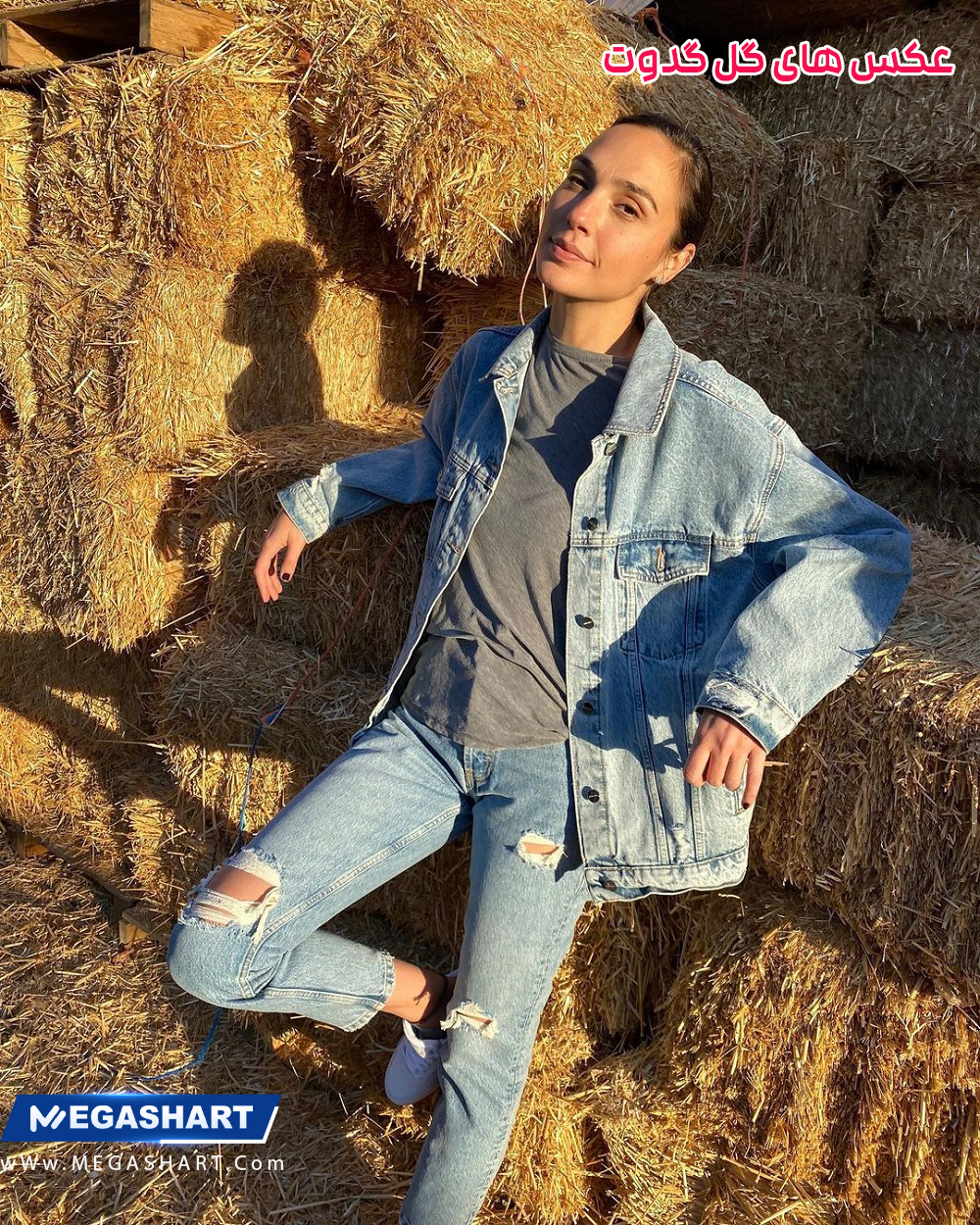 عکس های گل گدوت - مگاشرط عکس های گل گدوت