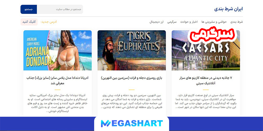 سرگرمی - مگاشرط سرگرمی