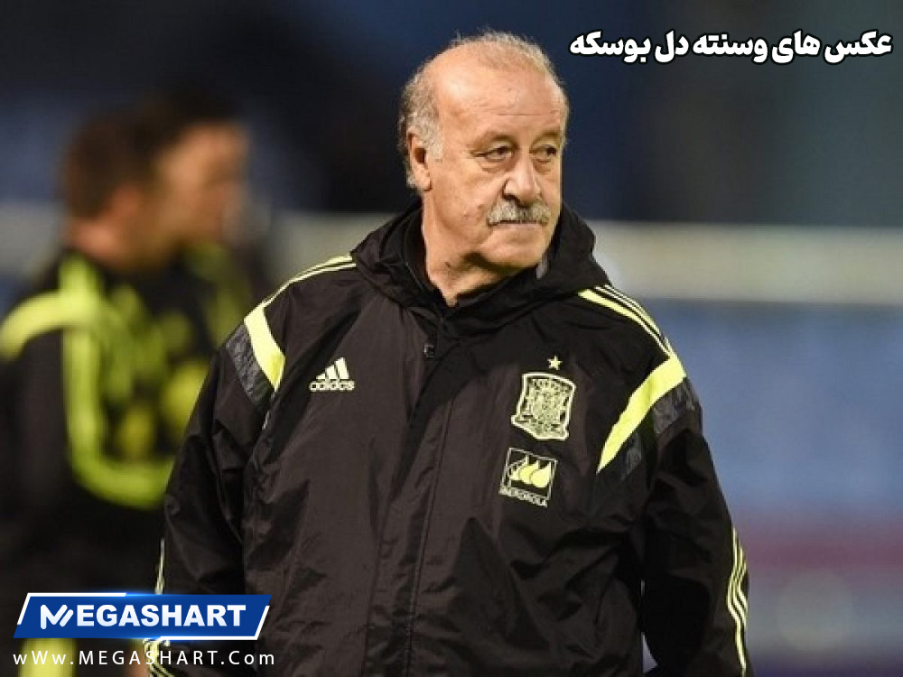 عکس های میرچئا لوچسکو - مگاشرط عکس های میرچئا لوچسکو