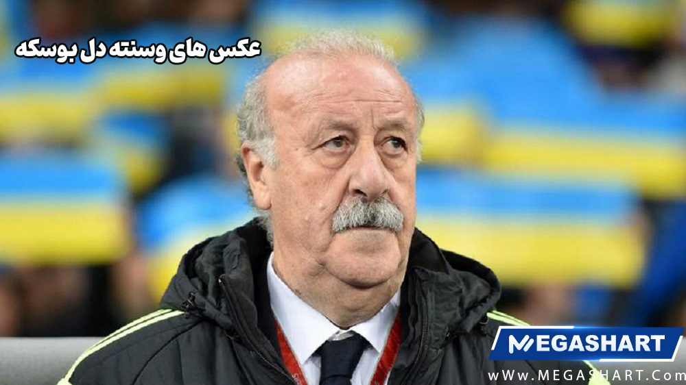 عکس های میرچئا لوچسکو - مگاشرط عکس های میرچئا لوچسکو