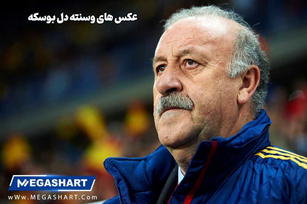 عکس های میرچئا لوچسکو - مگاشرط عکس های میرچئا لوچسکو