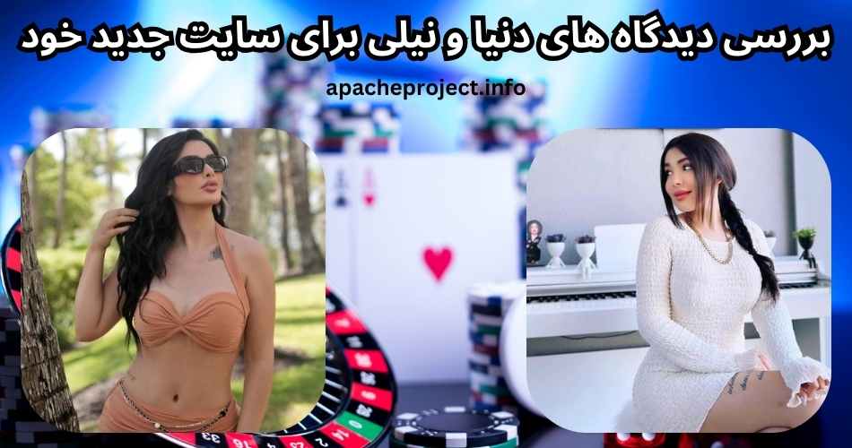 بررسی دیدگاه های دنیا و نیلی برای سایت جدید خود