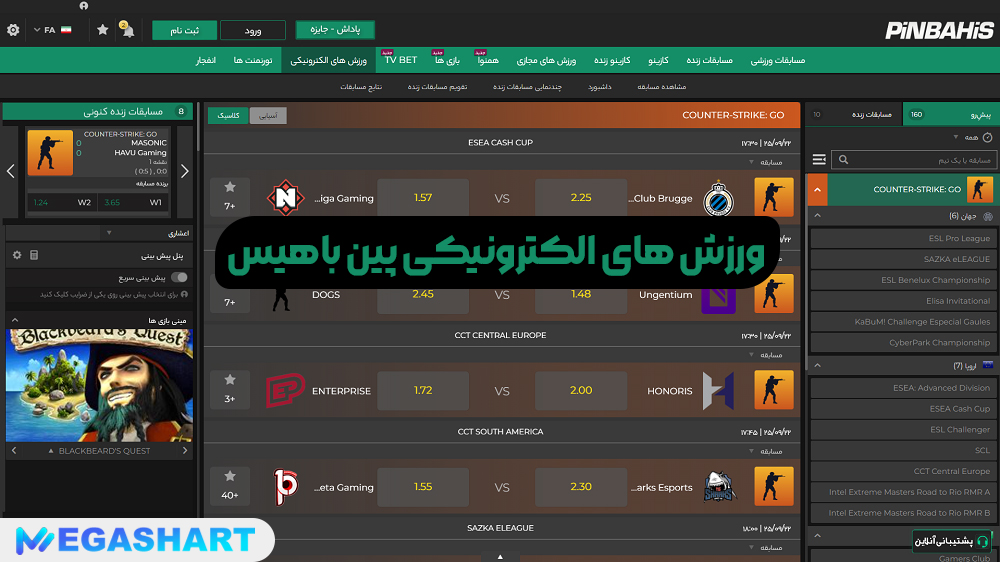 ورزش های الکترونیکی پین باهیس - مگاشرط ورزش های الکترونیکی پین باهیس