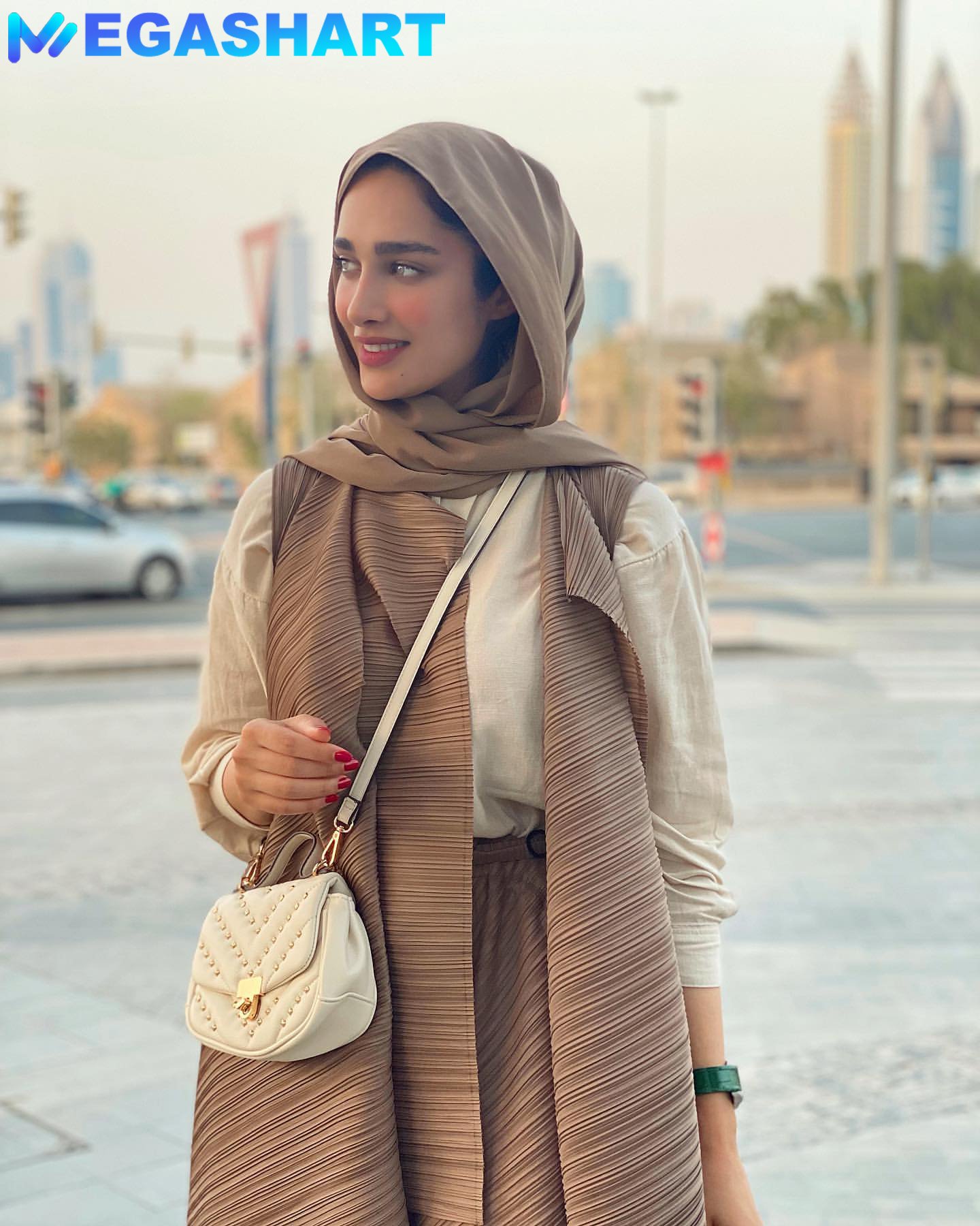 رابطه با آناشید حسینی - مگاشرط رابطه با آناشید حسینی