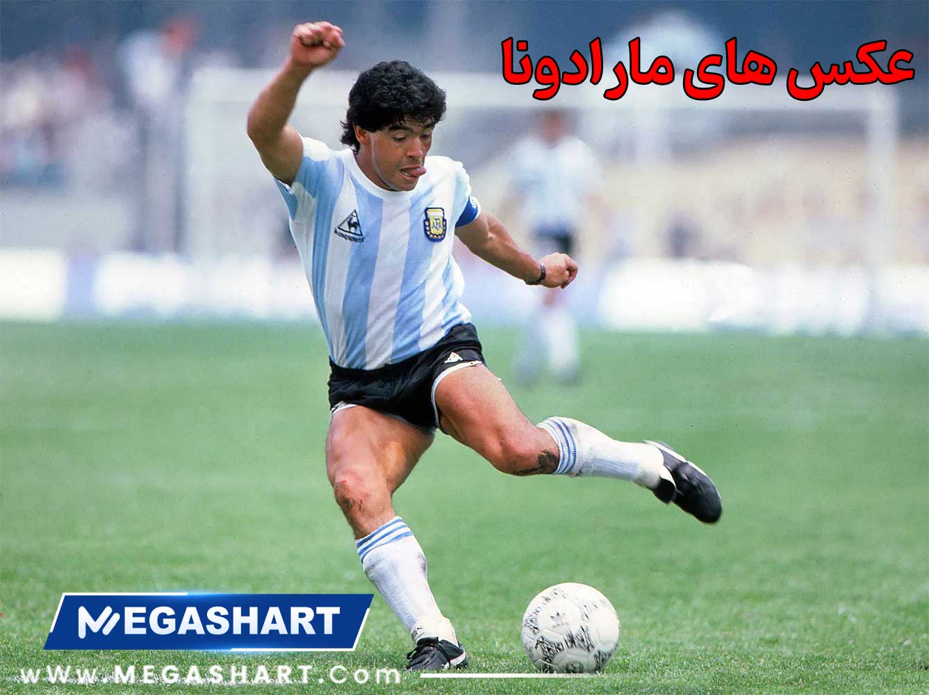 عکس های مارادونا - مگاشرط عکس های مارادونا