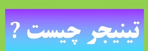 تینیجر چیست