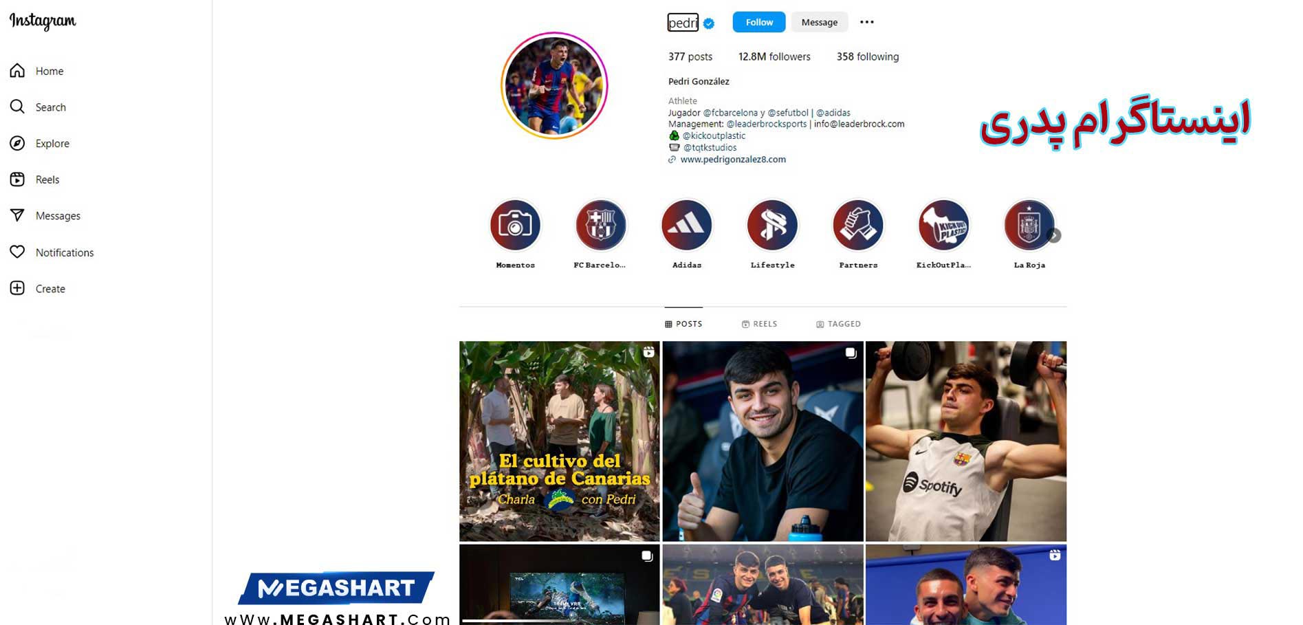 اینستاگرام پدری - مگاشرط اینستاگرام پدری