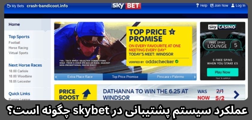 عملکرد سیستم پشتیبانی در skybet چگونه است؟ 