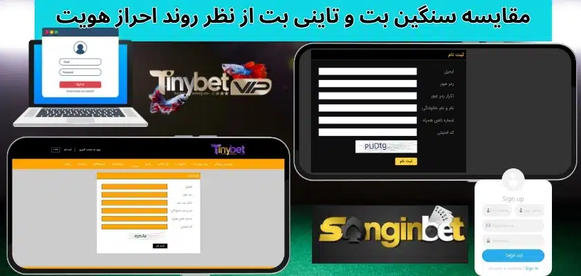 مقایسه سنگین بت و تاینی بت از نظر روند احراز هویت
