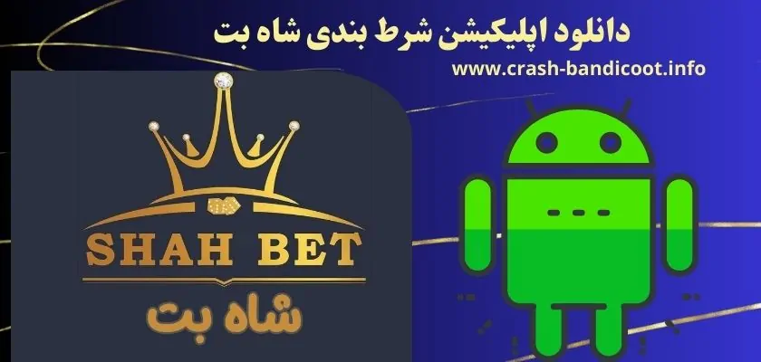 دانلود اپلیکیشن شرط بندی شاه بت از چه روش هایی انجام می شود؟