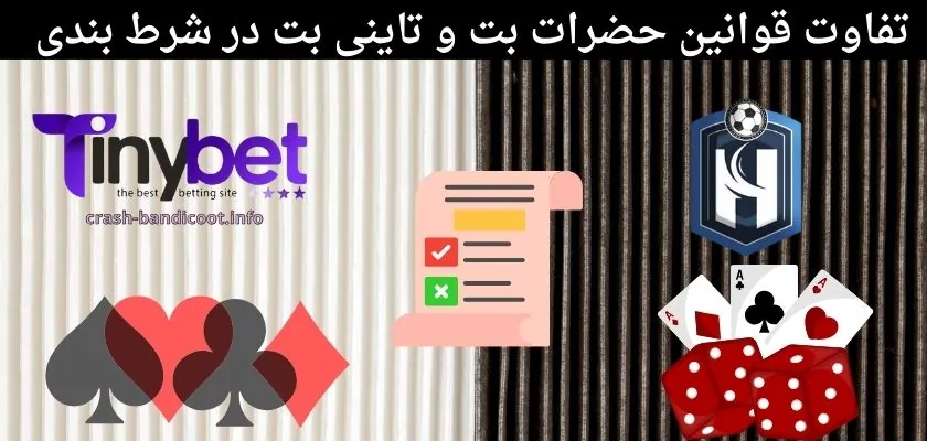 تفاوت قوانین حضرات بت و تاینی بت در شرط‌ بندی