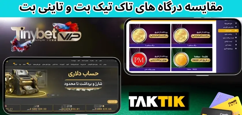 مقایسه درگاه های تاک تیک بت و تاینی بت