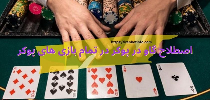 اصطلاح گاو در پوکر در تمام بازی های پوکر کاربرد دارد؟ 