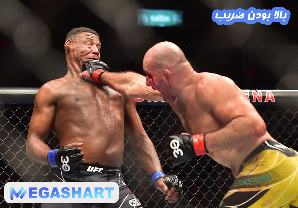 بالا بودن ضریب