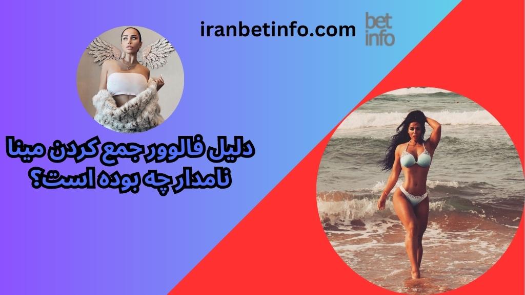 دلیل فالوور جمع کردن مینا نامدار چه بوده است؟