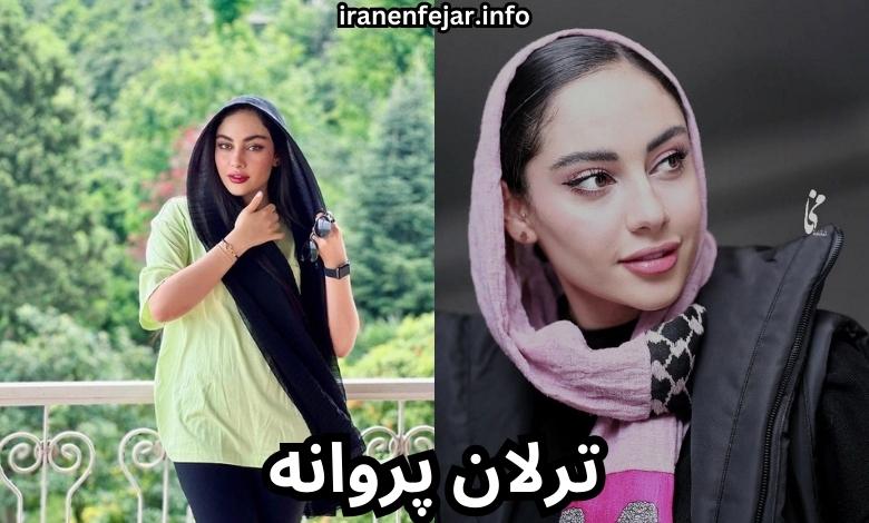 ماجرای ترلان پروانه و شروین حاجی پور چیست؟