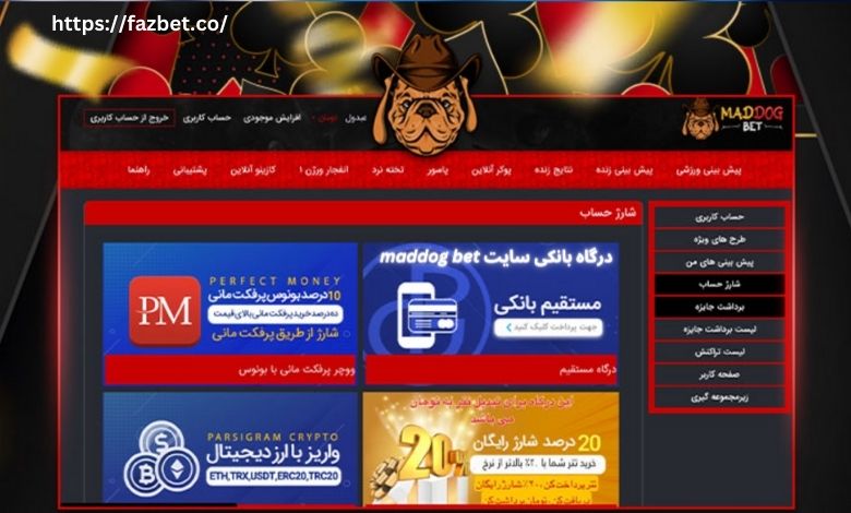 درگاه بانکی سایت maddog bet