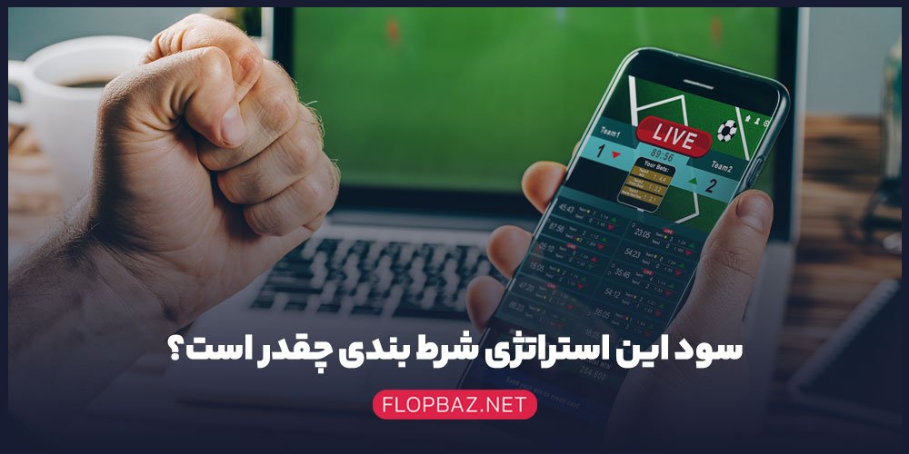 سود این استراتژی شرط بندی چقدر است؟ 