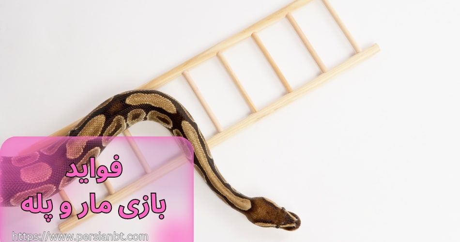 این بازی چه فوایدی دارد؟