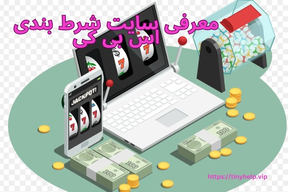 معرفی سایت شرط بندی اس بی کی