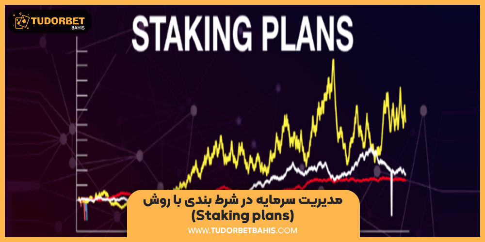 مدیریت سرمایه Staking Plan در شرط بندی