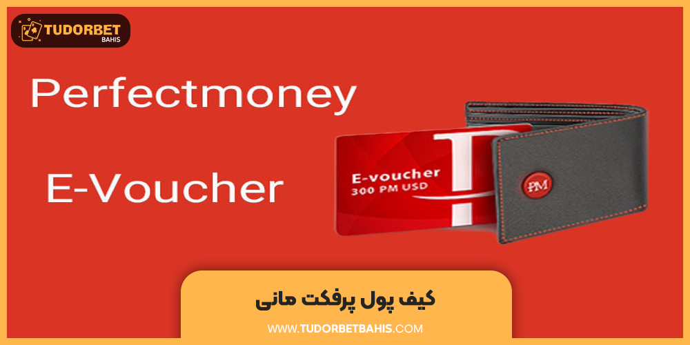 کیف پول پرفکت مانی perfect money