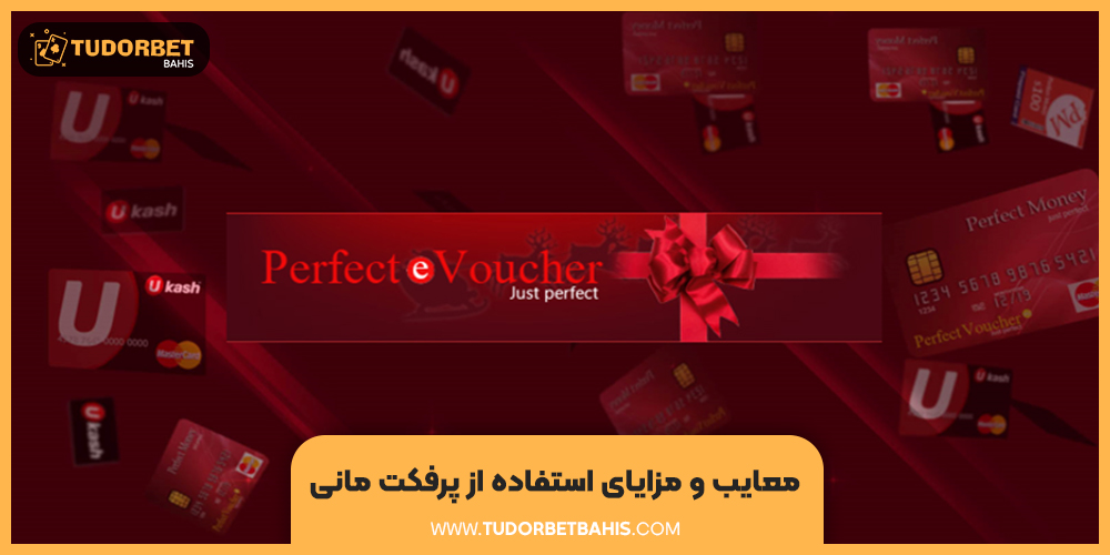 معایب و مزایای استفاده از پرفکت مانی